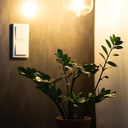 Tyylikaes City-huoneisto *